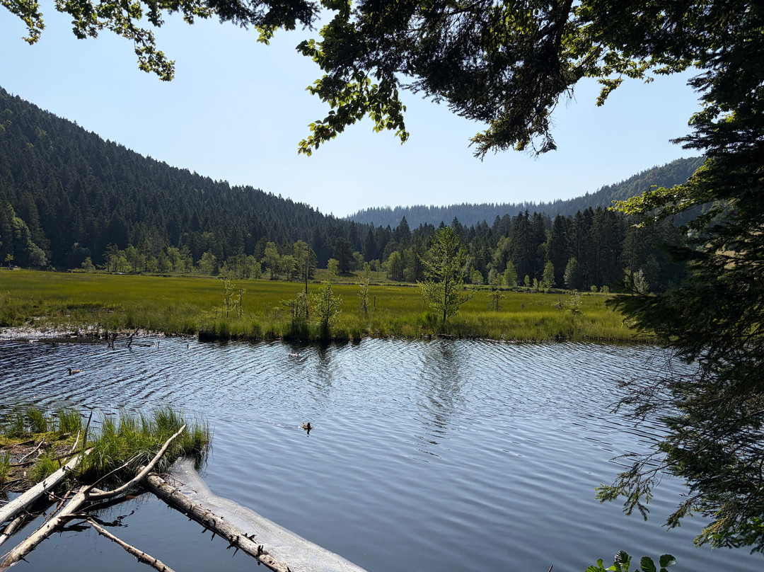 Lac de Lispach-La Bresse必去景点