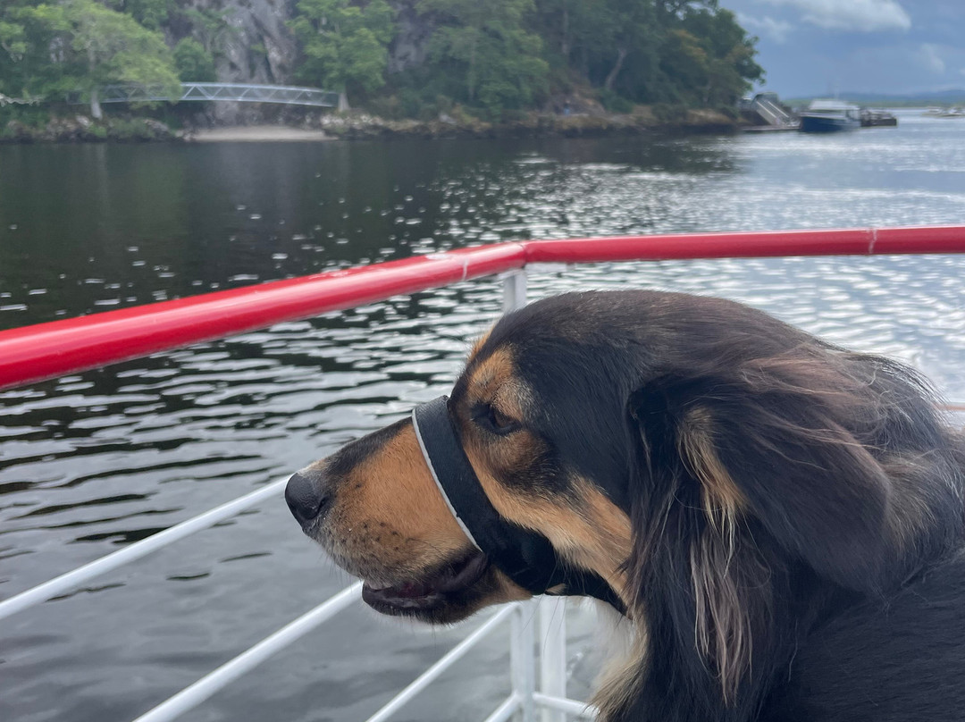 Cruise Loch Lomond-Balmaha必去景点