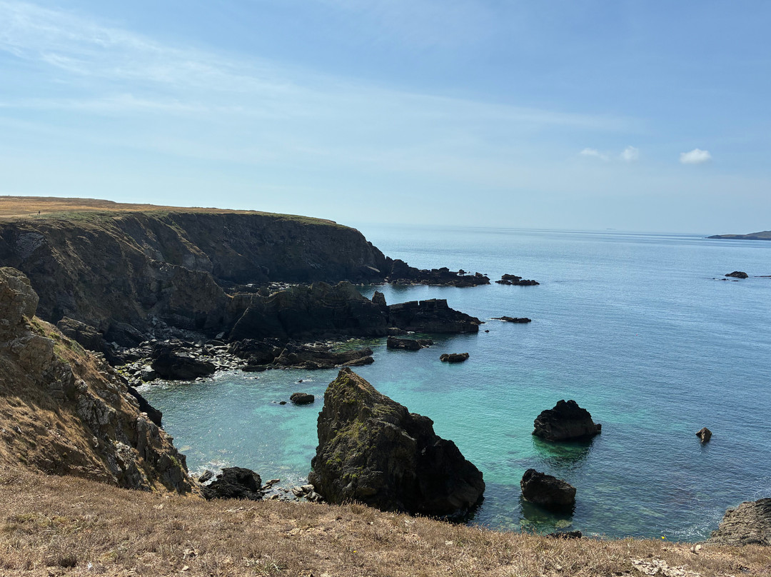 Pembrokeshire Islands Boat Trips-Skomer Island必去景点
