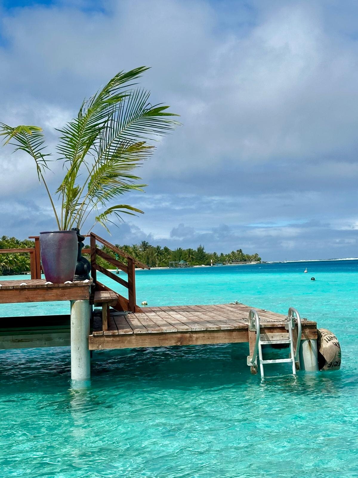 Pension Papahani-旅行者