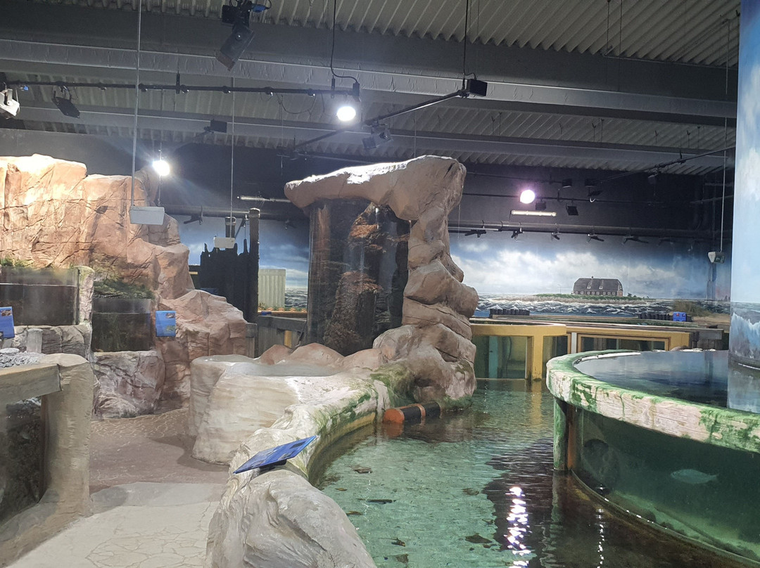 Sylt Aquarium-叙尔特必去景点