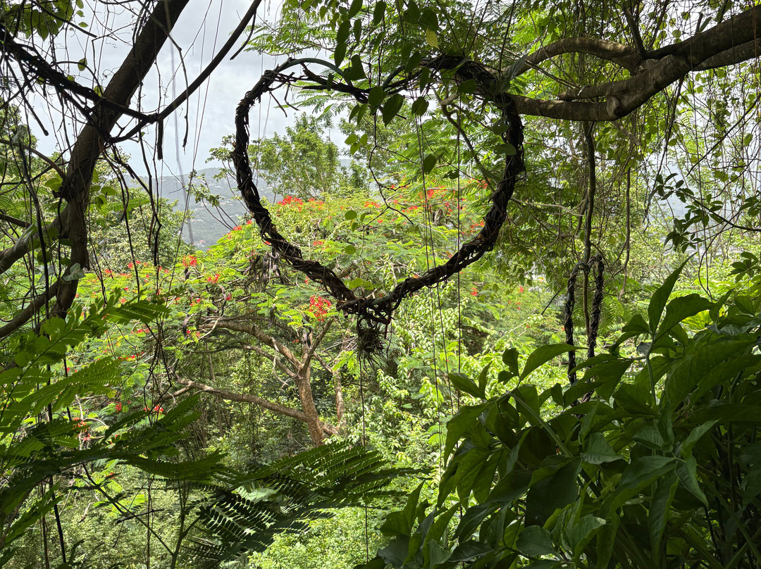 An Mao Jardin Paysager & Historique-Le Marin必去景点