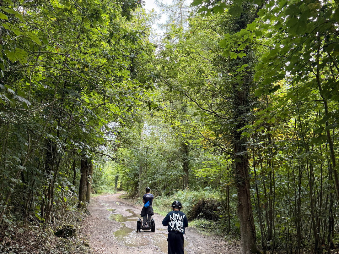 Lakeland Segway-Cartmel必去景点