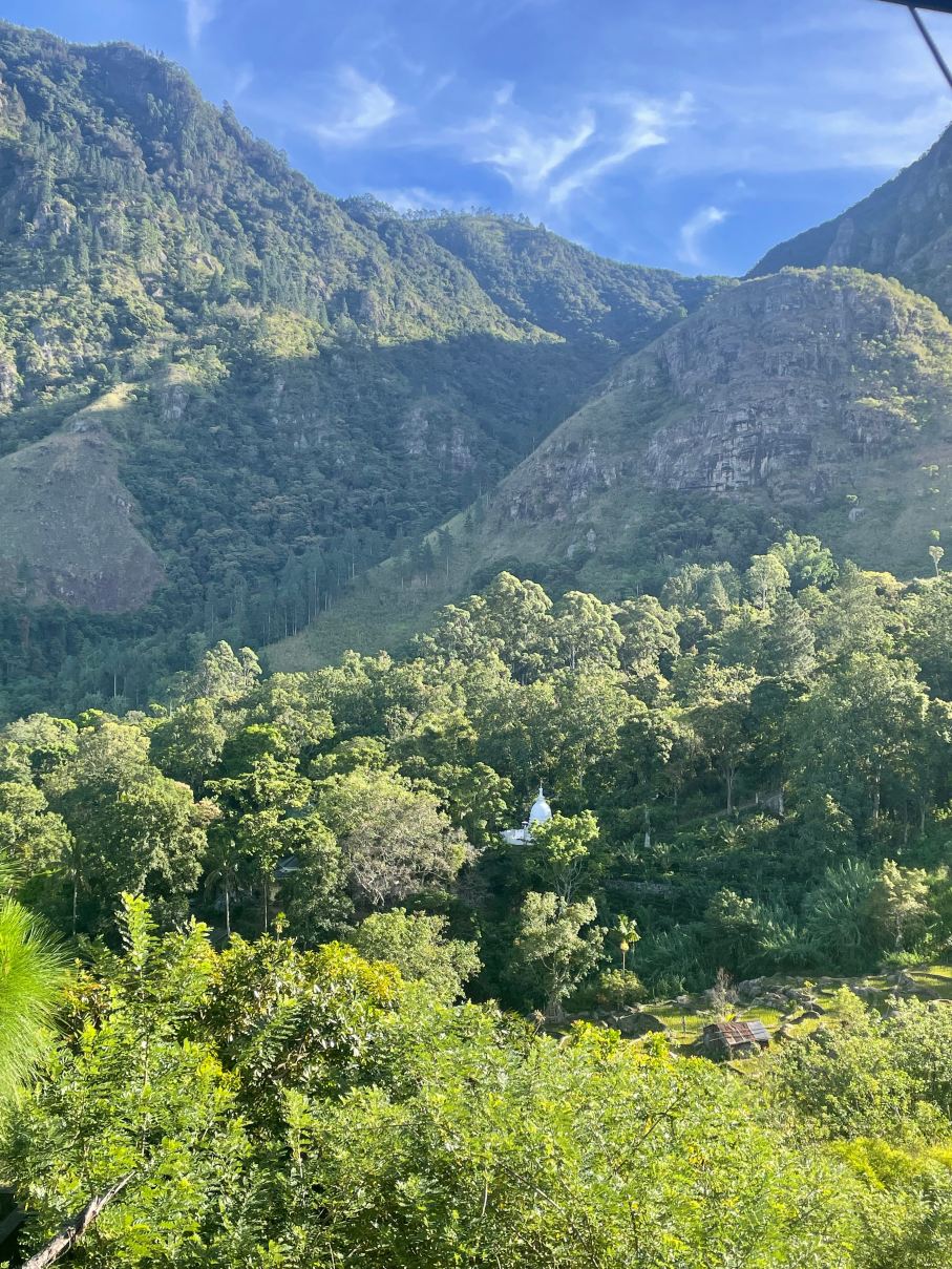 格雷斯假日简易别墅度假村-旅行者