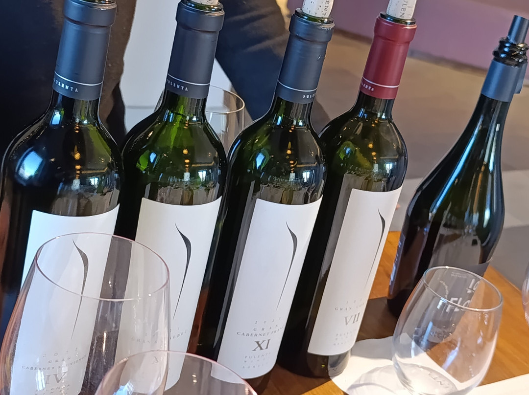 Pulenta Estate Winery-阿格雷洛必去景点