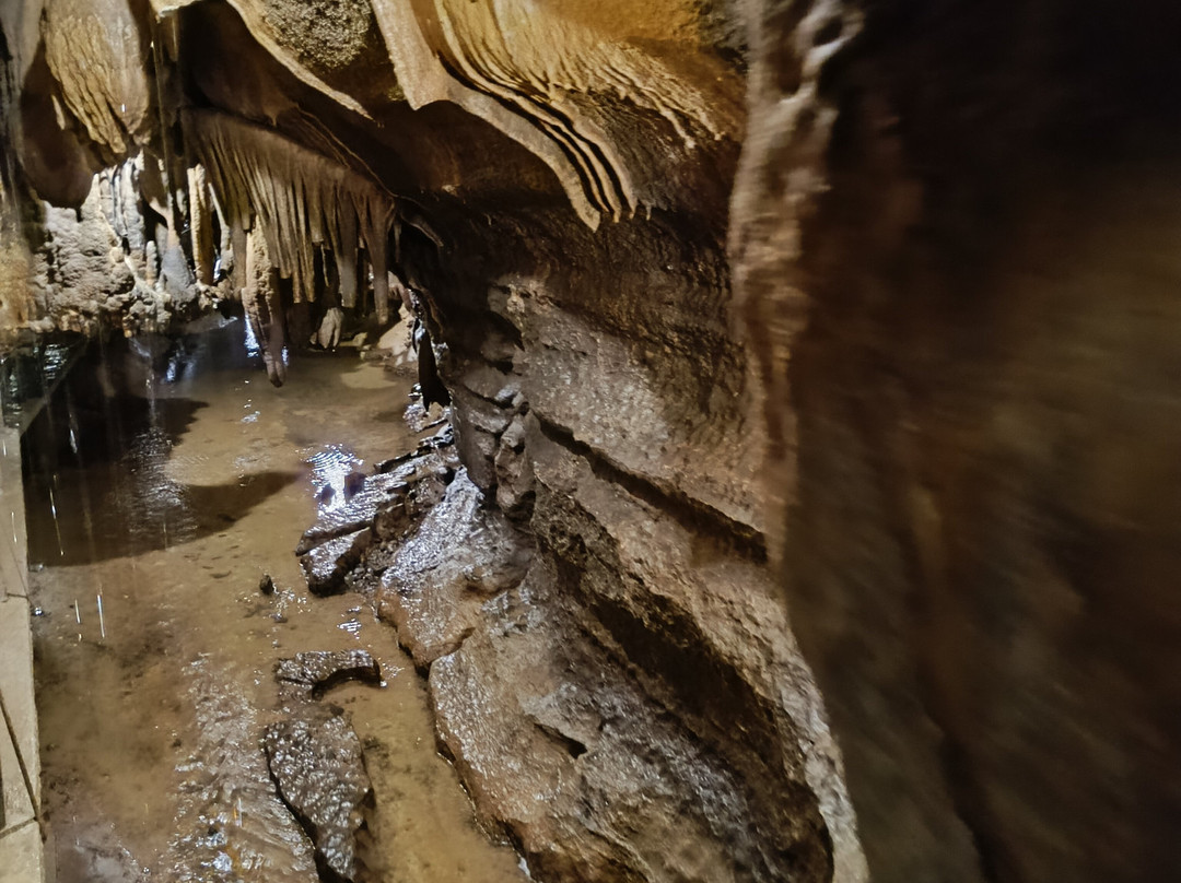 Grottes de Bétharram-Saint-Pe-de-Bigorre必去景点