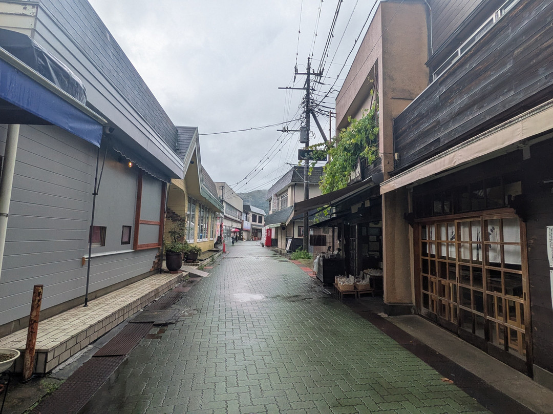 Nagatoro Iwadatamidori Shotengai-长瀞町必去景点