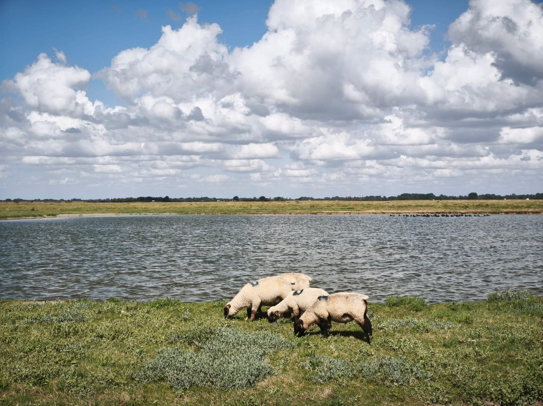 Passion Baie de Somme-Le Crotoy必去景点