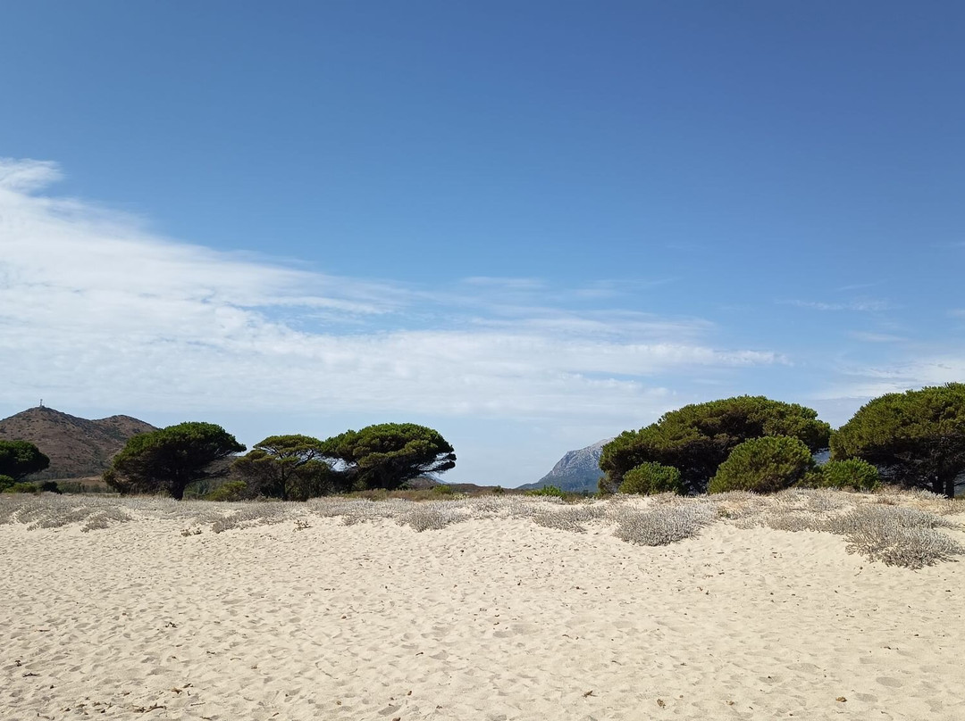Spiaggia di Su Tiriarzu-Posada必去景点
