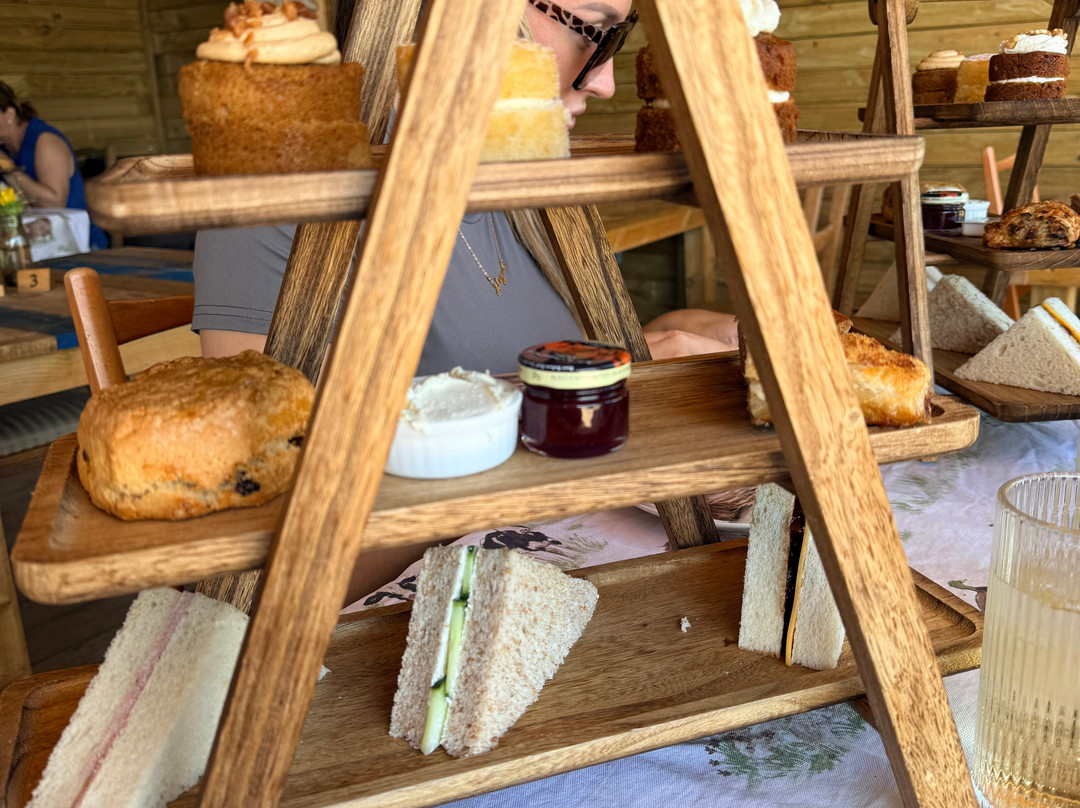 Quex Adventure Farm Park-Birchington必去景点