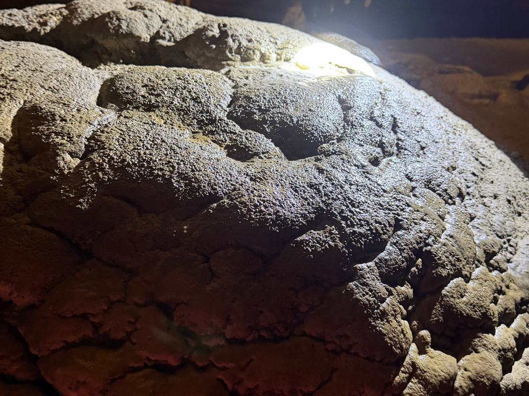 Boyden Cavern-红杉&国王峡谷国家公园必去景点