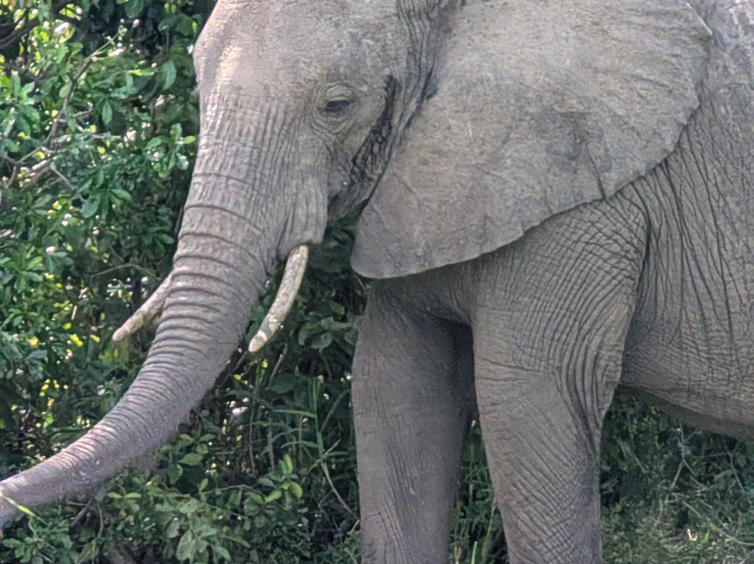Mukiza Gorilla Expeditions-Kanungu必去景点