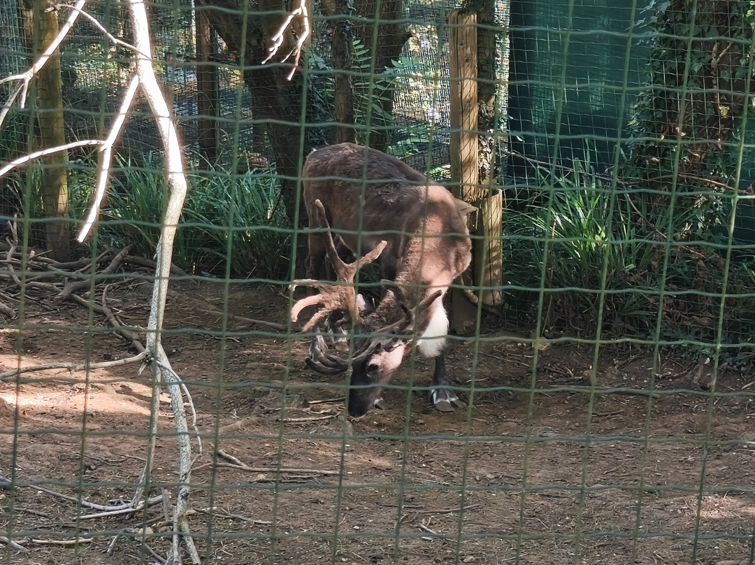 Zoo De Santillana Del Mar-海边的散提亚拿必去景点