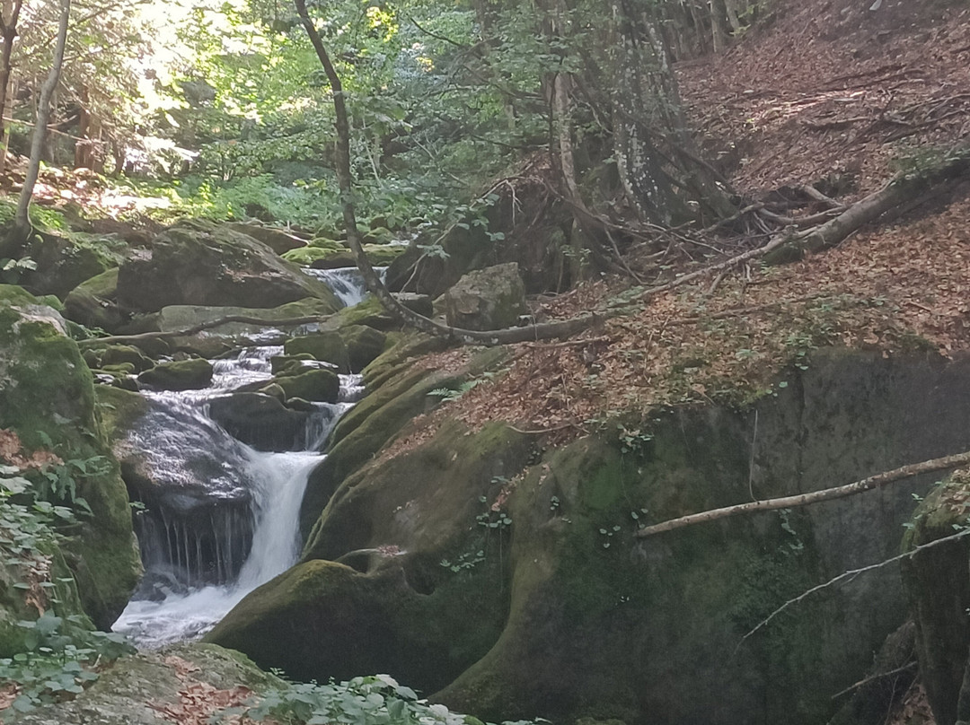 Pian delle Gorre - parco del Pesio-Chiusa di Pesio必去景点