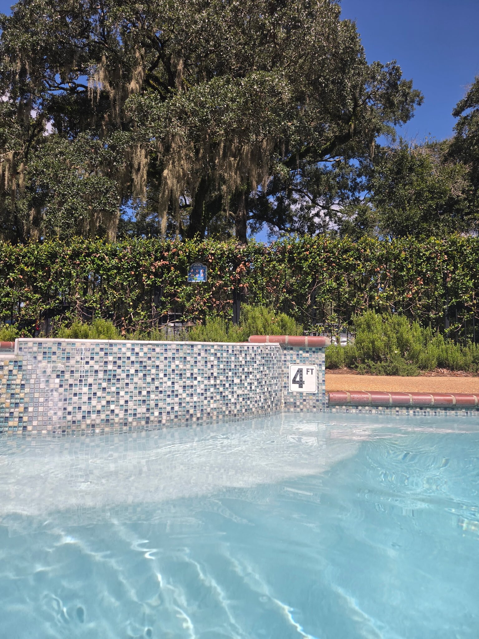 The St. Francisville Inn-旅行者