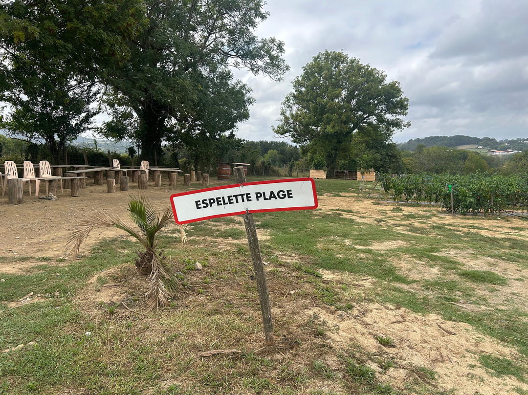 L'Atelier du Piment-Espelette必去景点