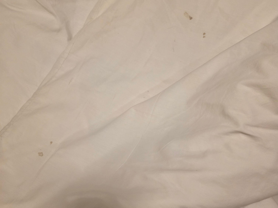 顿河酒馆及旅舍主图