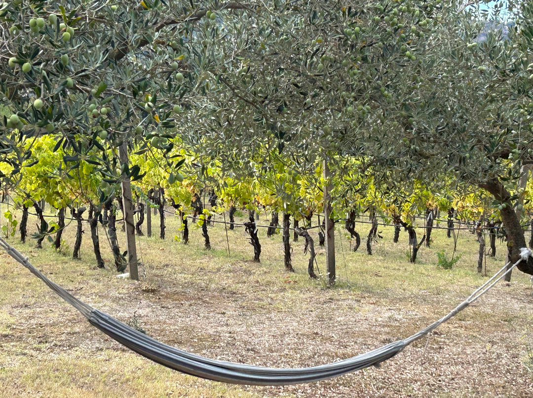 Winery Bratos-Gruda必去景点