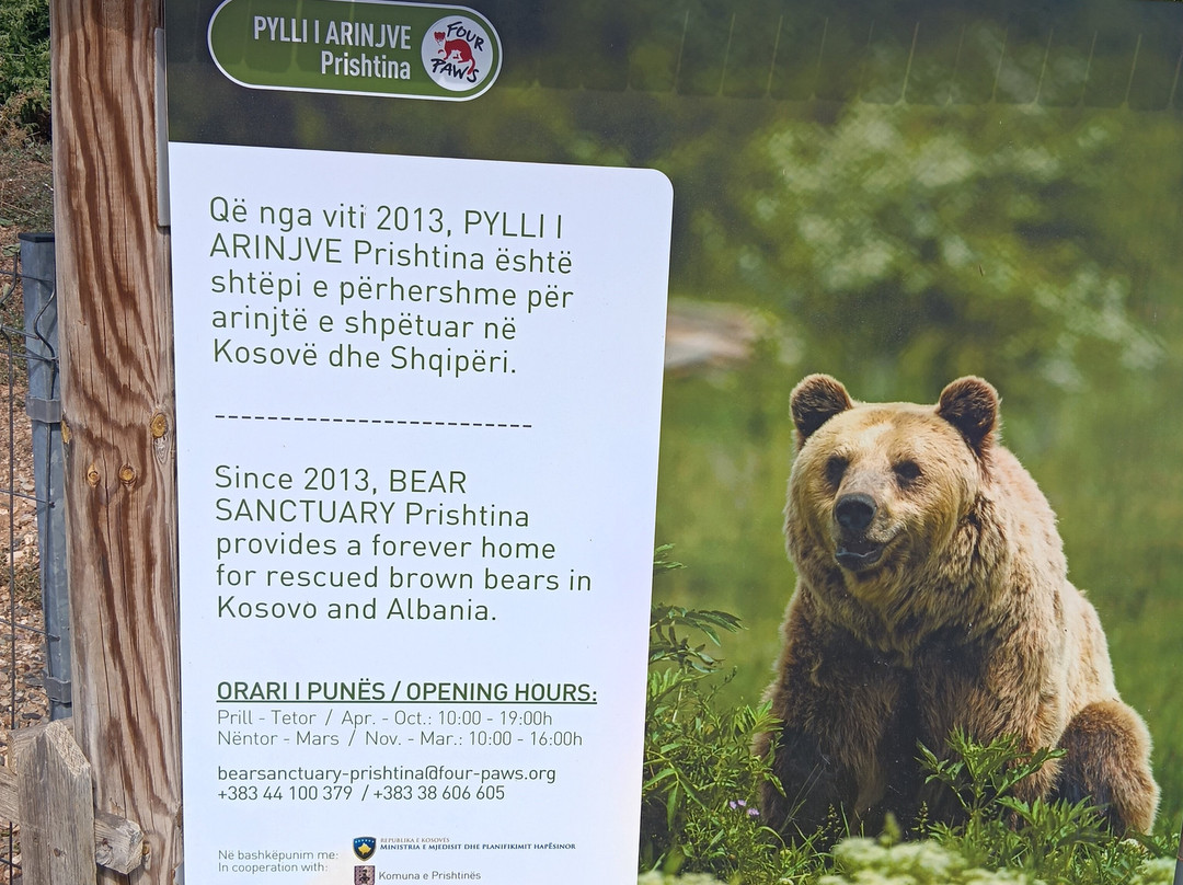 BEAR SANCTUARY Prishtina-普里什蒂纳必去景点