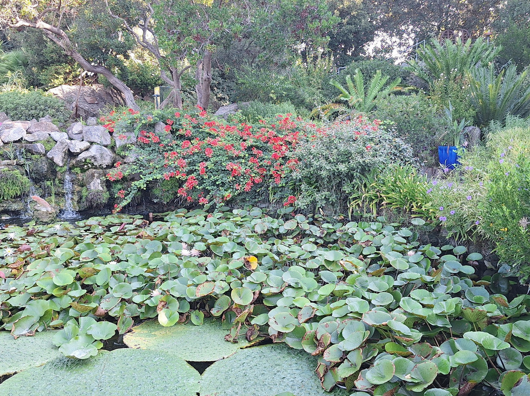 Giardini La Mortella-福里奥必去景点