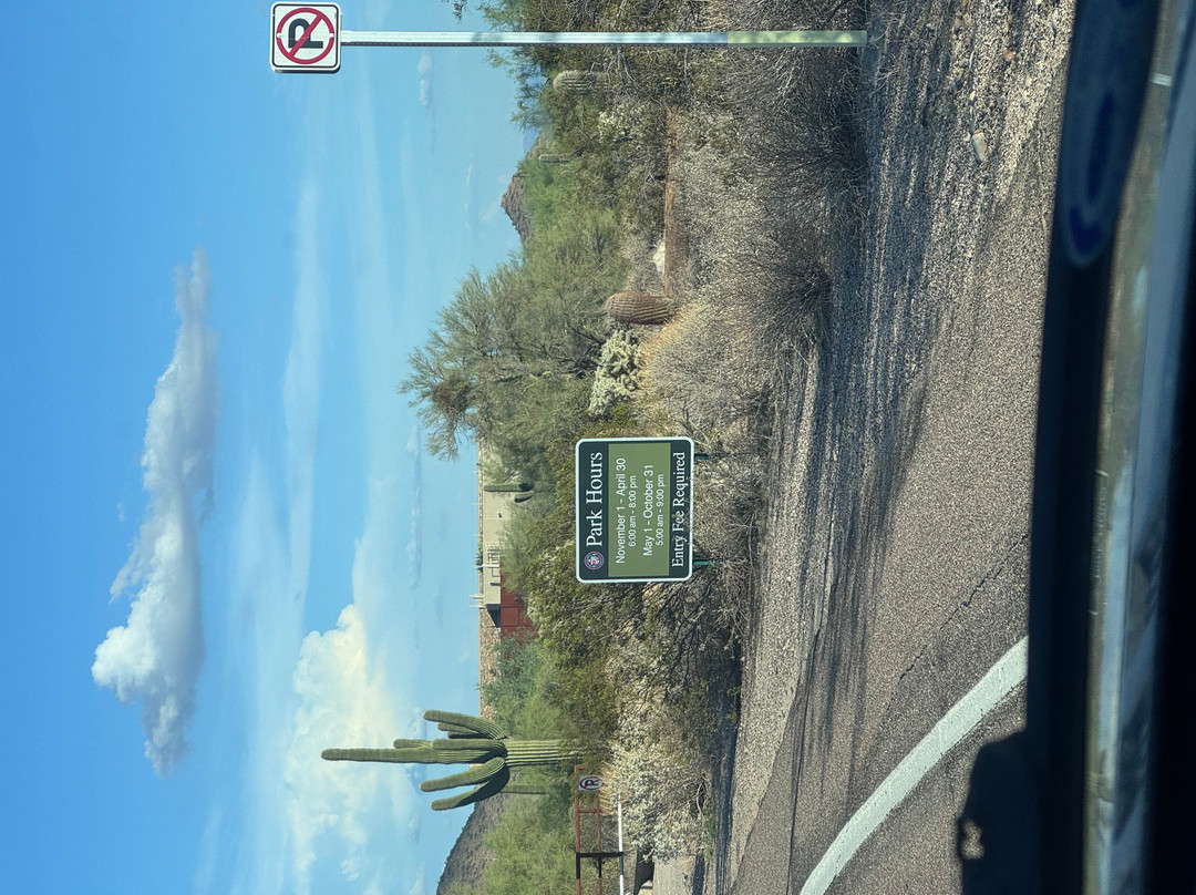 Usery Mountain Regional Park-梅萨必去景点