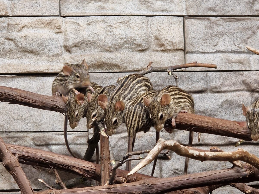 Heimattiergarten Schönebeck "Bierer Berg"-Schönebeck必去景点