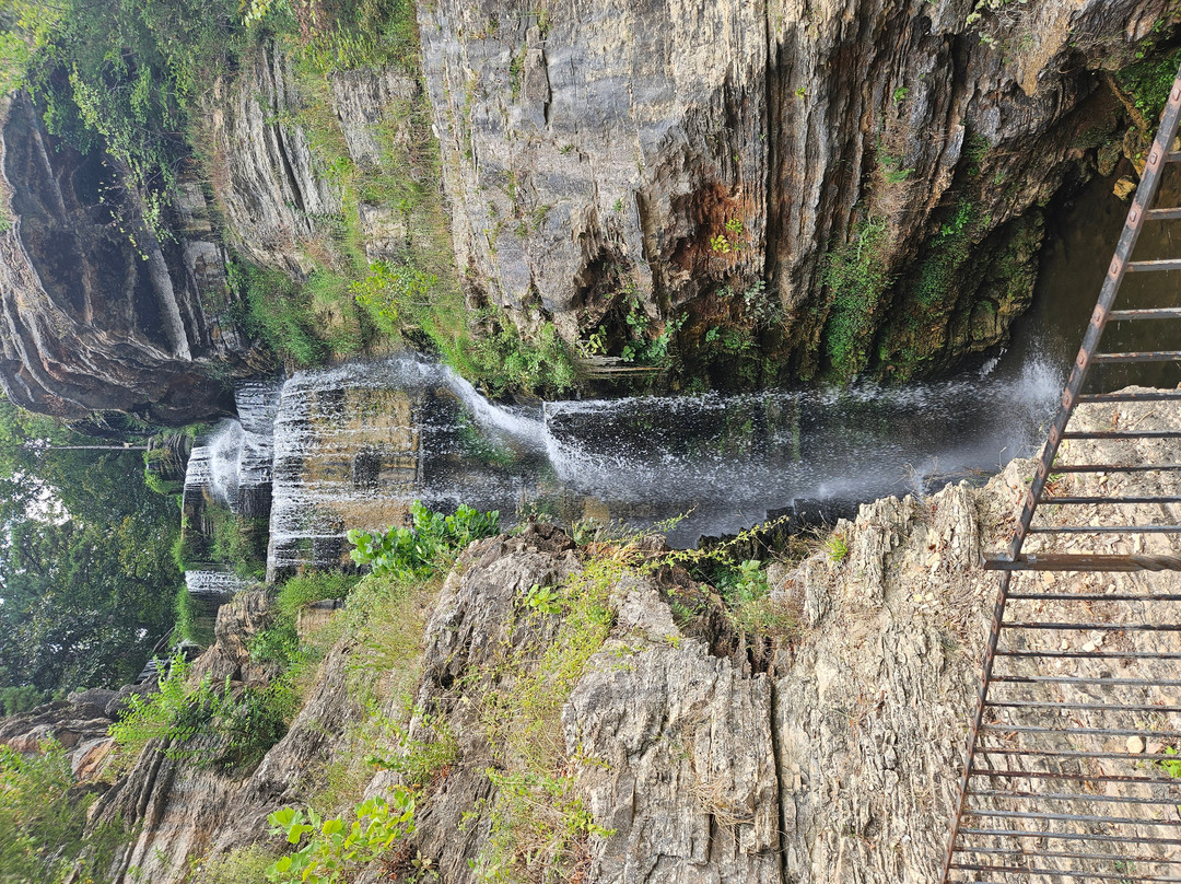 Dogwood Canyon Nature Park-Lampe必去景点