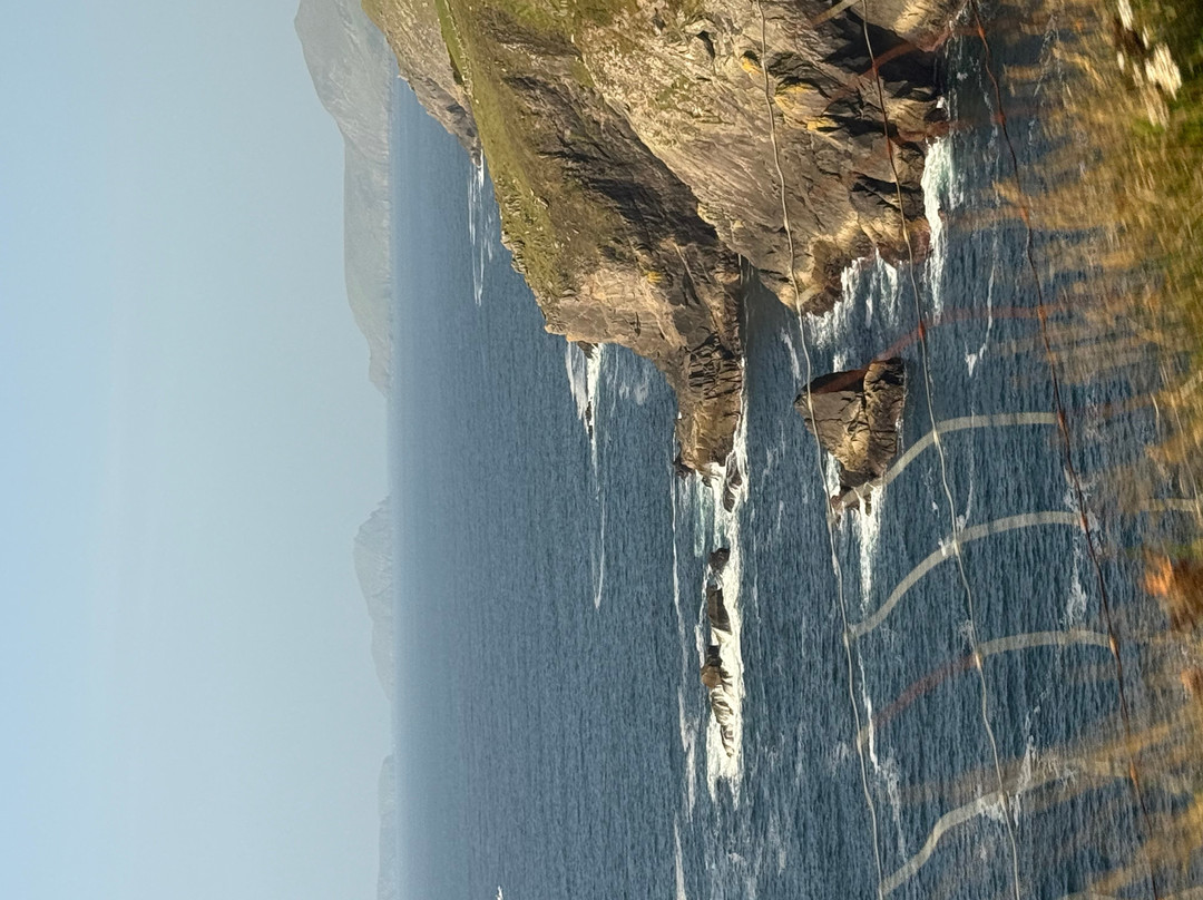 Connect the Dots Tours of Ireland-都柏林必去景点