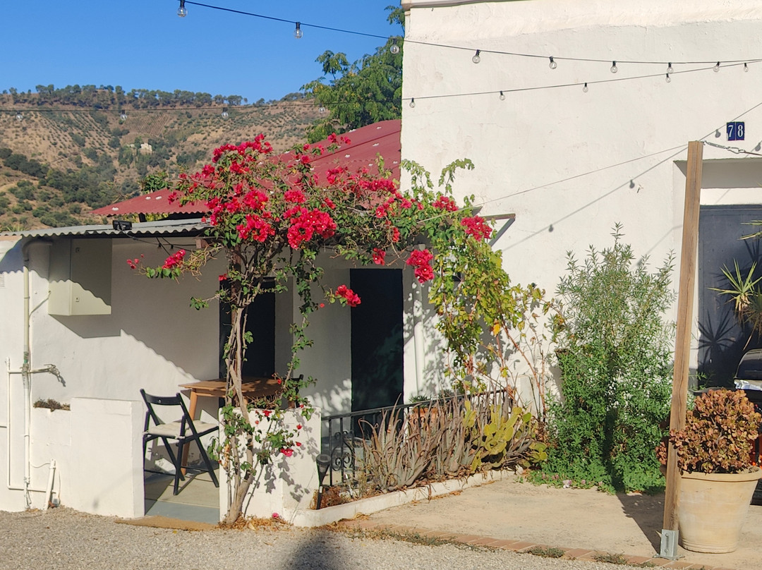 Finca Serrato主图