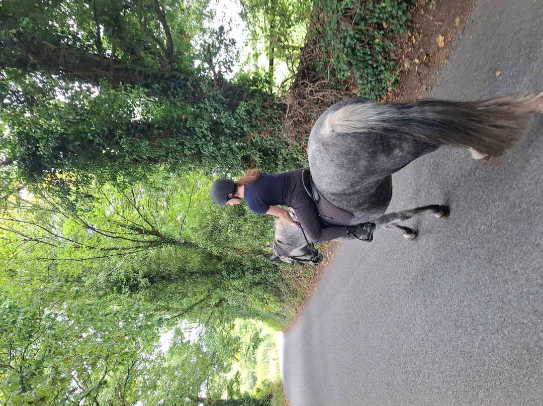 Bourton Vale Equestrian Centre-水上伯顿必去景点
