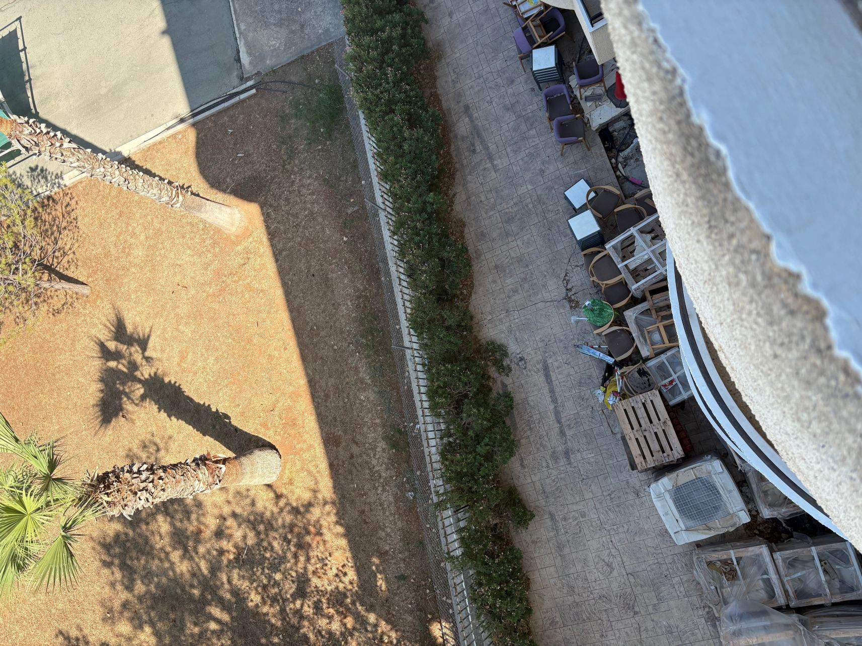 大西洋绿洲-旅行者
