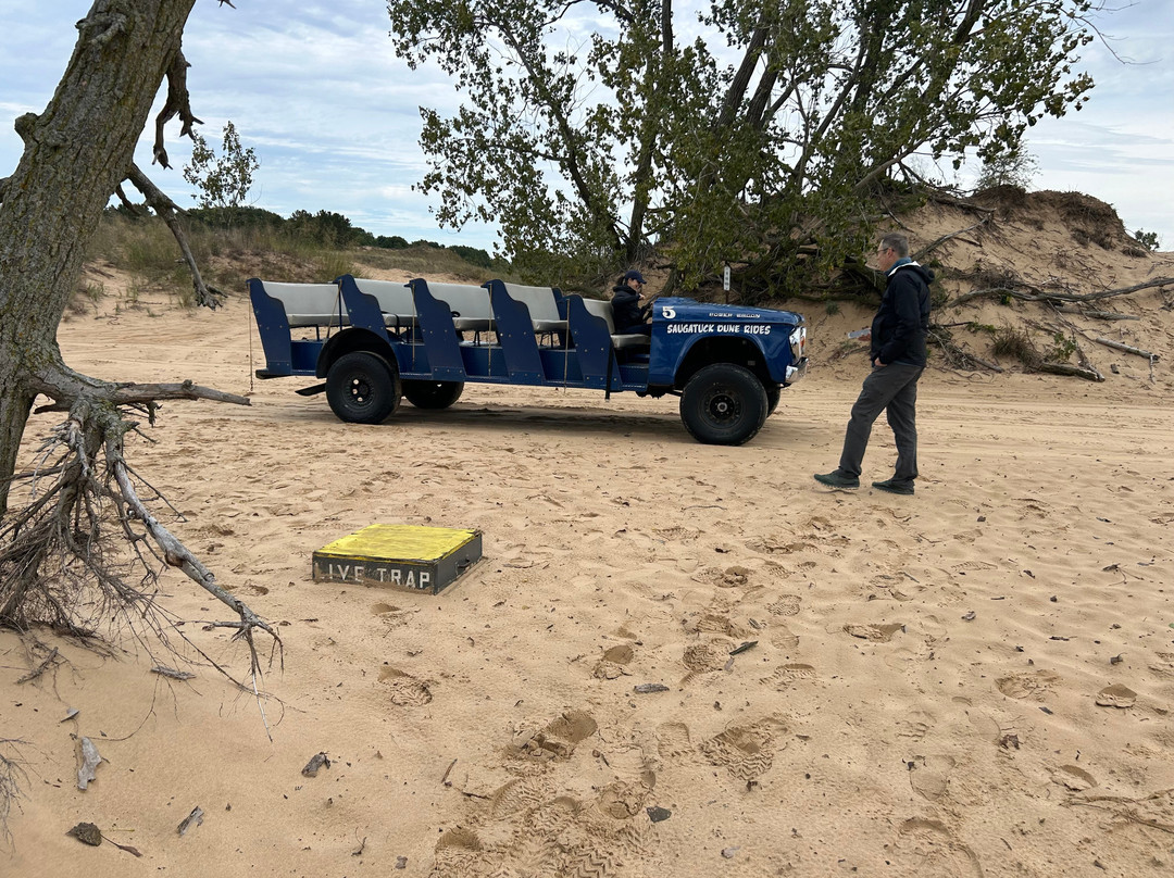 Saugatuck Dune Rides-索格塔克必去景点