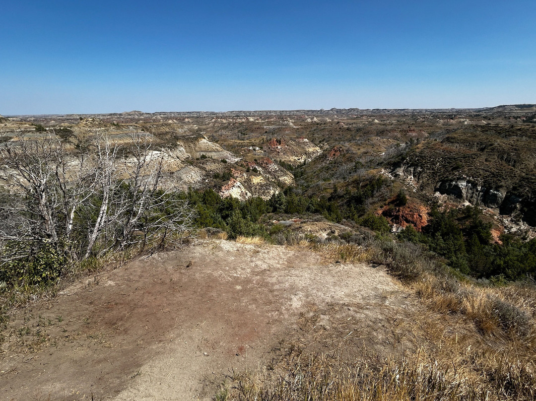 Theodore Roosevelt National Park-Medora必去景点