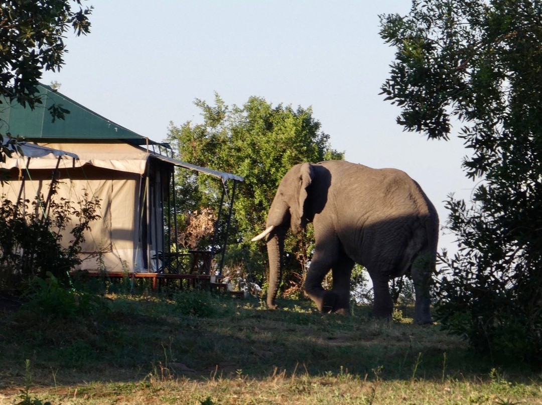 Sero Tented Camp-Seronera必去景点