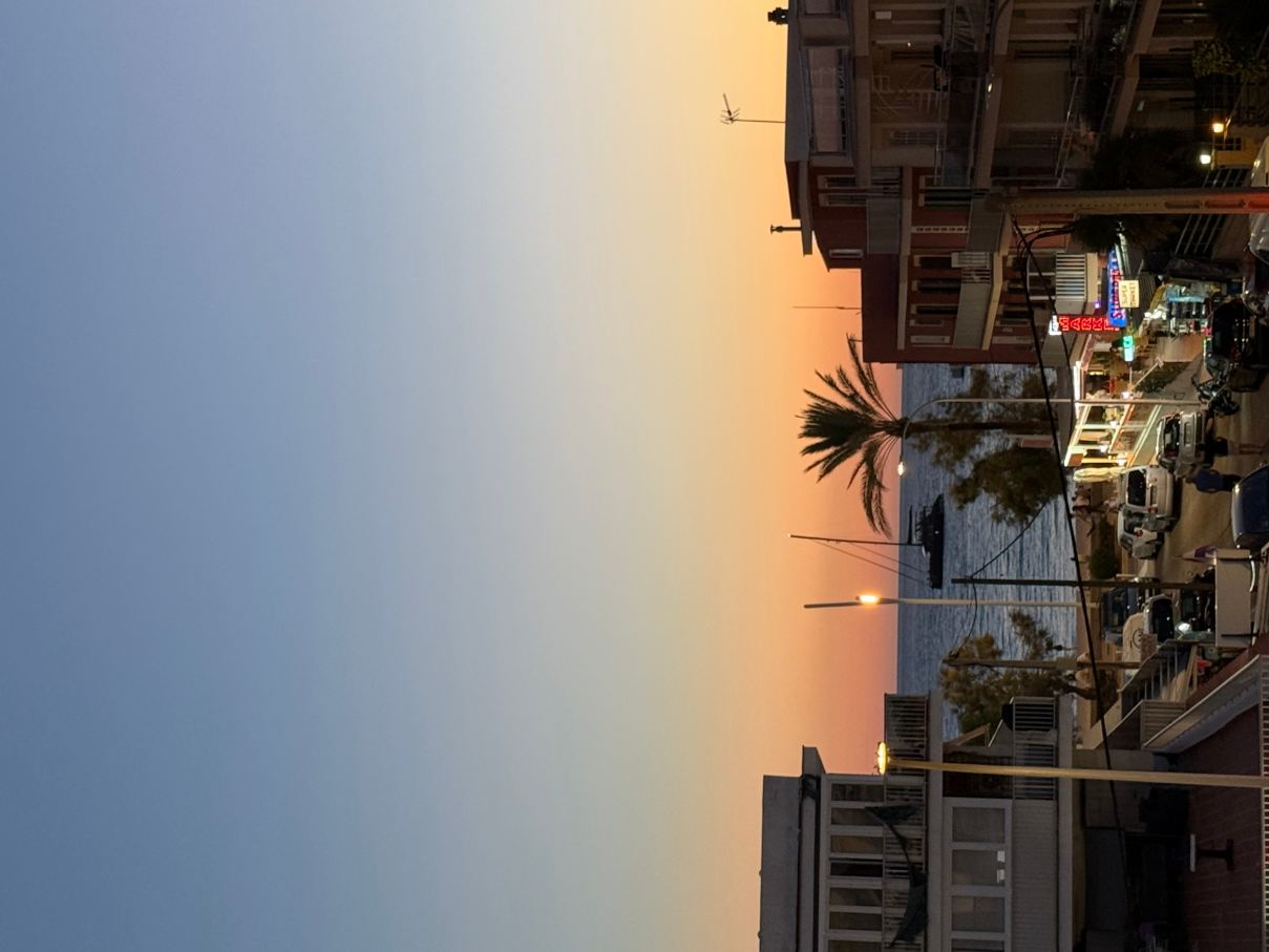 丽拉欧Alua酒店-旅行者
