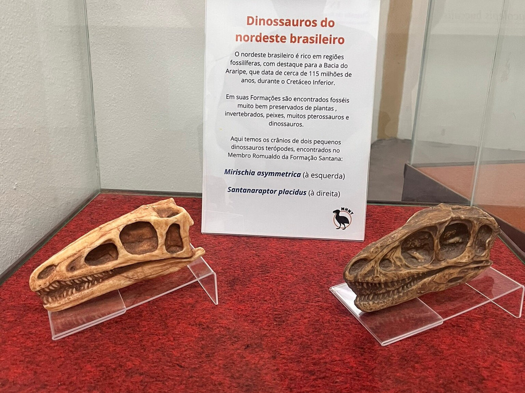 Museu De História Natural de Taubaté-陶巴特必去景点