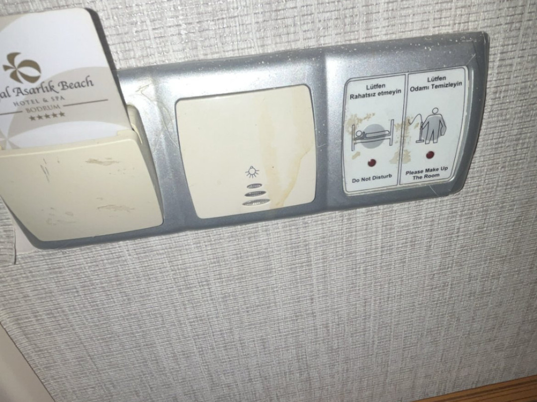 皇家阿萨里克 Spa 海滩酒店 - 全包式主图