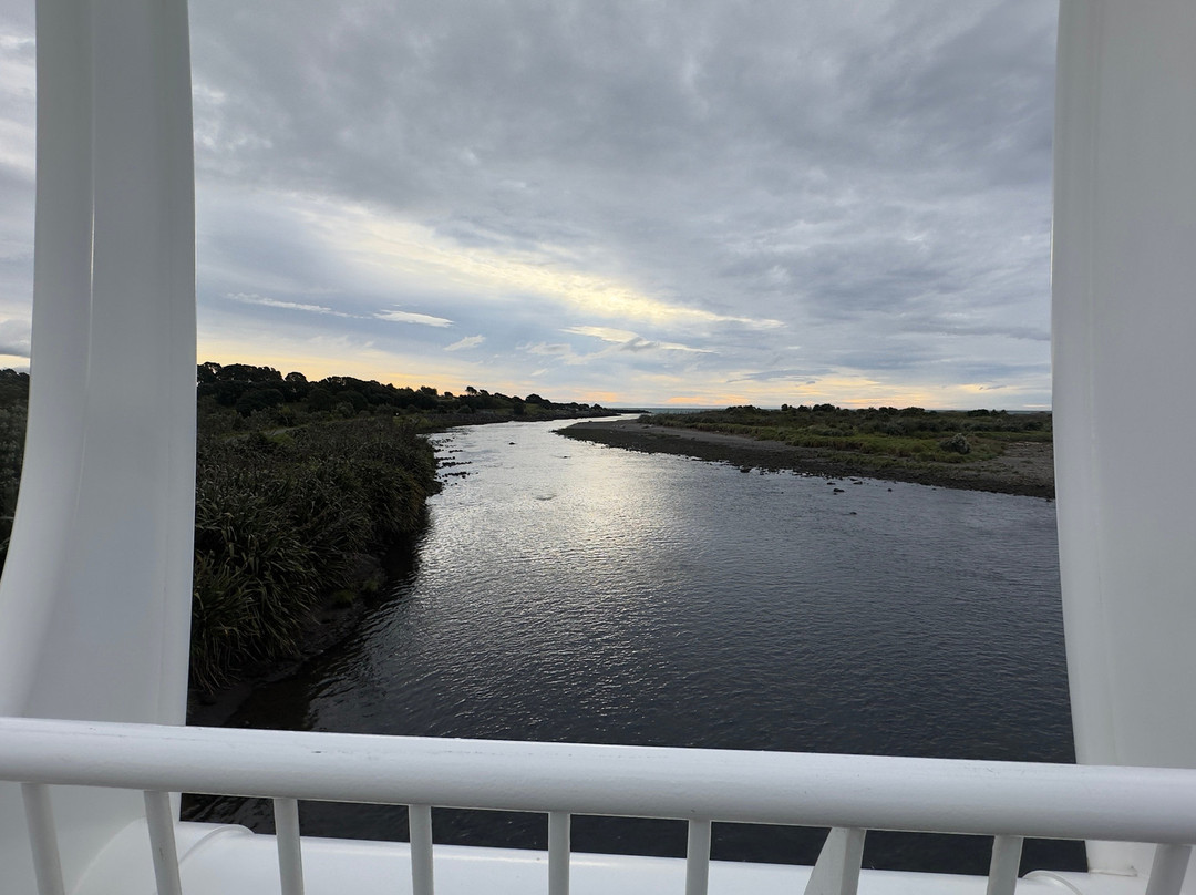 Te Rewa Rewa Bridge-新普利默斯必去景点