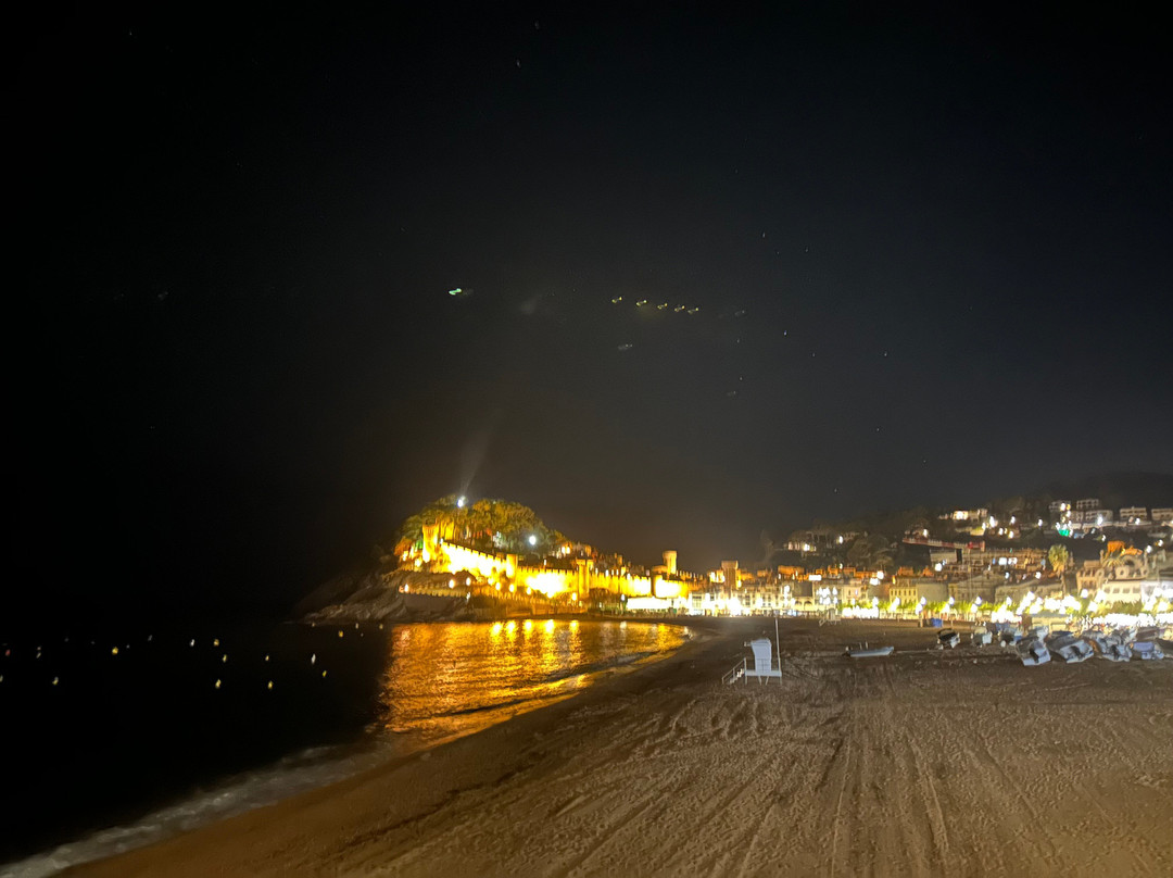 Castillo de Tossa de Mar-多萨德马尔必去景点