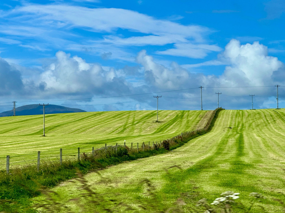 Orkney Mainland Private Tour with pick-up