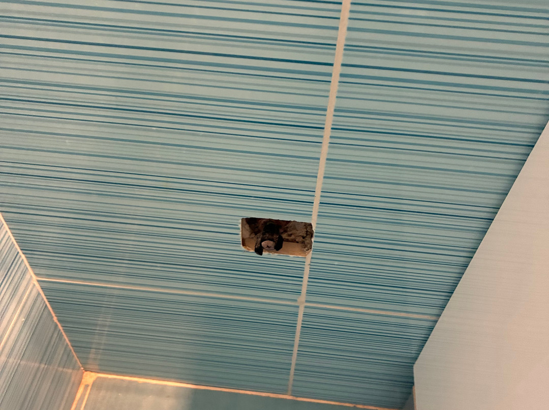 巴厘马尔酒店主图