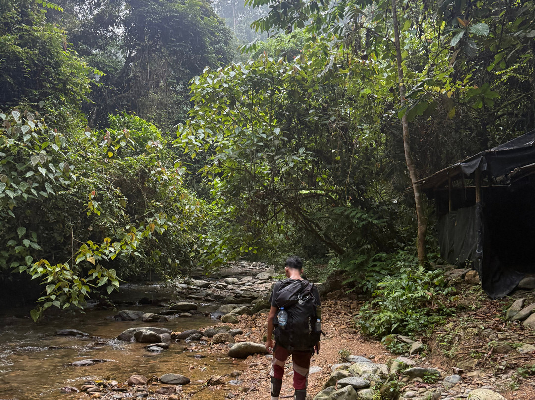 Sumatra Tour Adventures-武吉拉旺必去景点