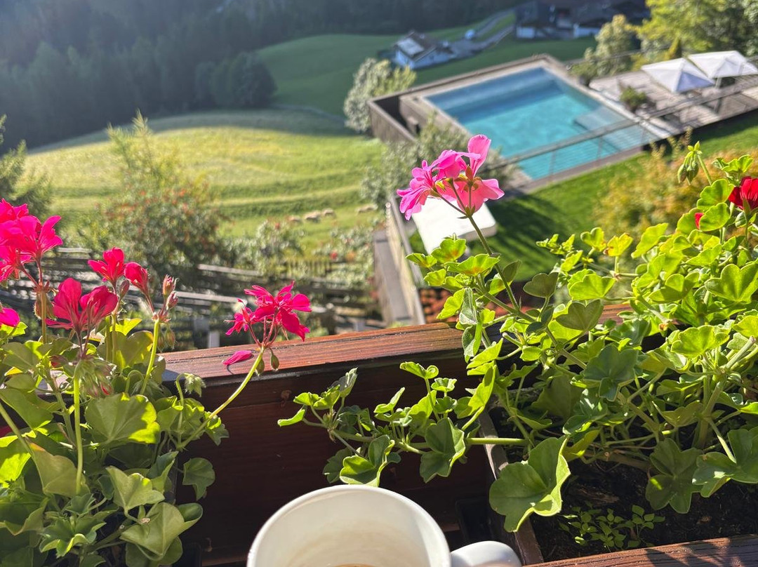 夏姆霍特尔乌利霍夫 - 杜尔酒店主图