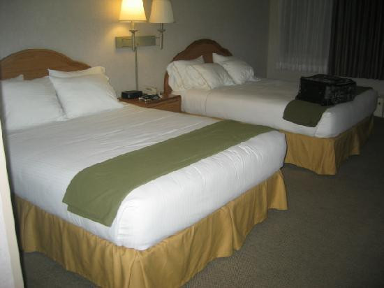 Holiday Inn Express 布拉格堡