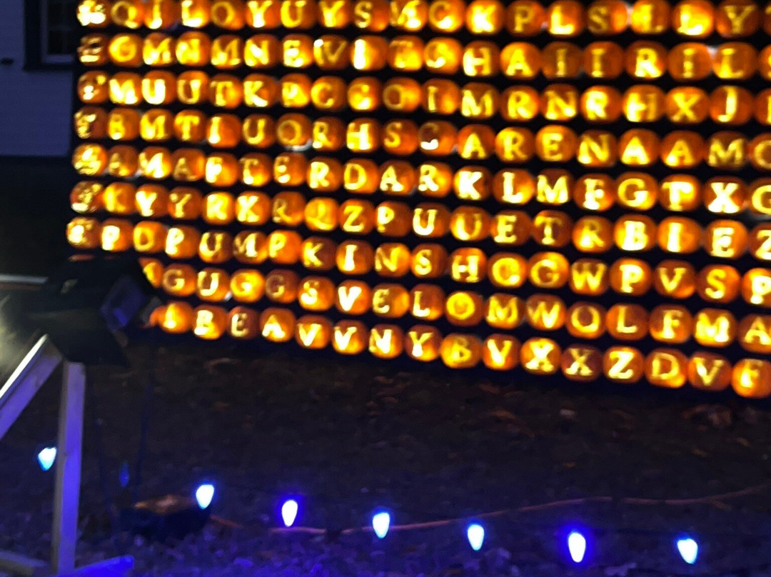 Pumpkins after dark-万锦市必去景点