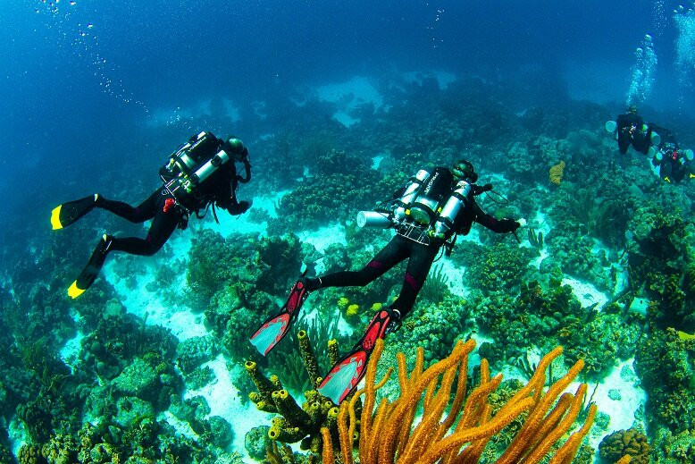 Technical Diving Services-Kralendijk必去景点