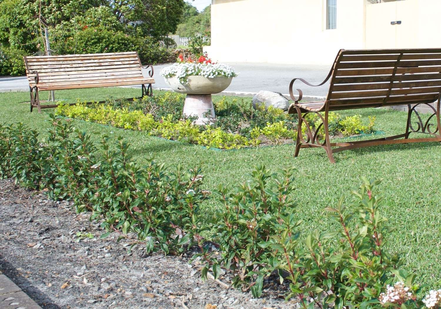 舒适客栈奥尔巴尼-官方