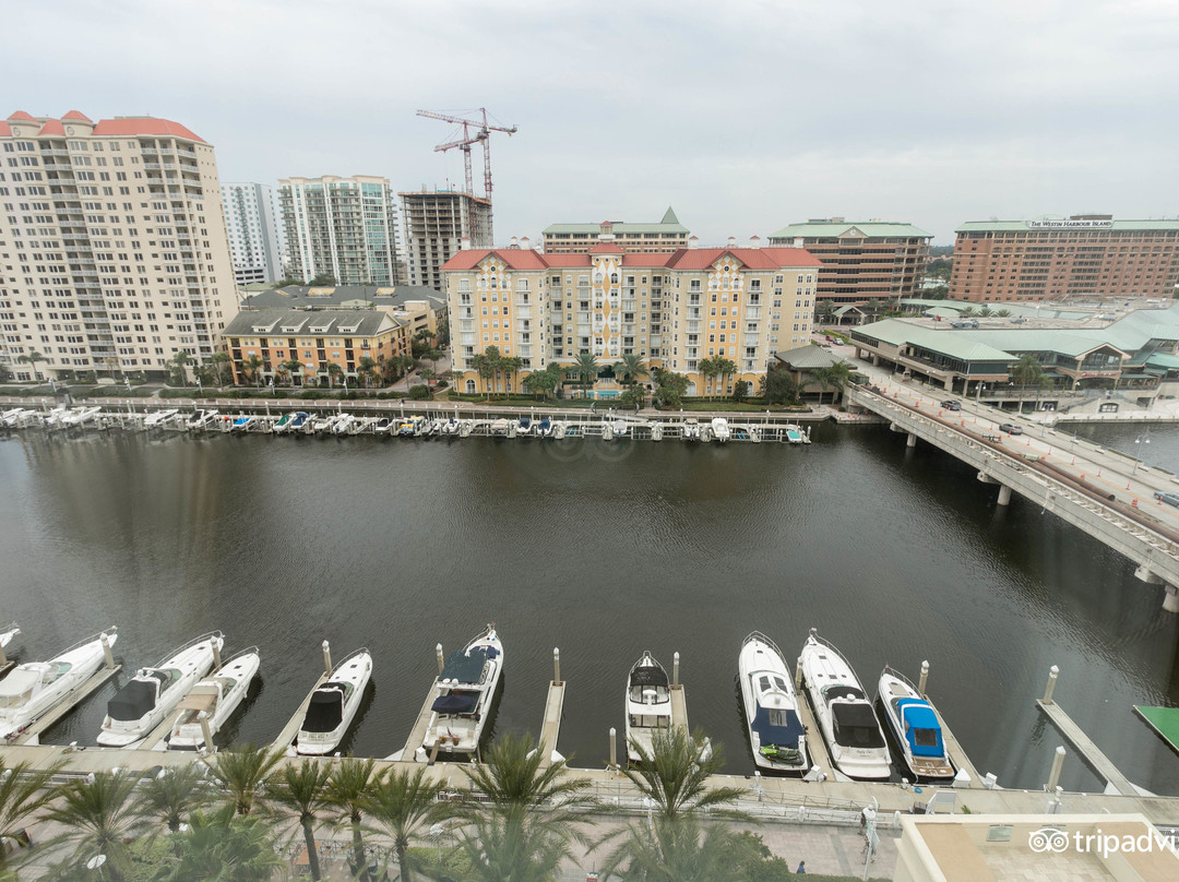 坦帕酒店住宿-坦帕海滨万豪酒店及码头
