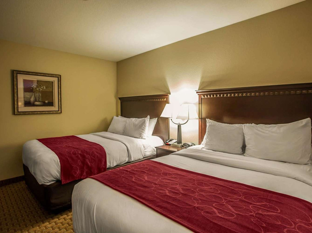 Comfort Suites Bloomington I-55 And I-74主图