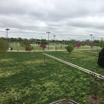 Long Bridge Park-阿灵顿必去景点